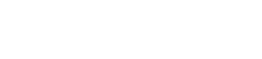 netzkern_logo